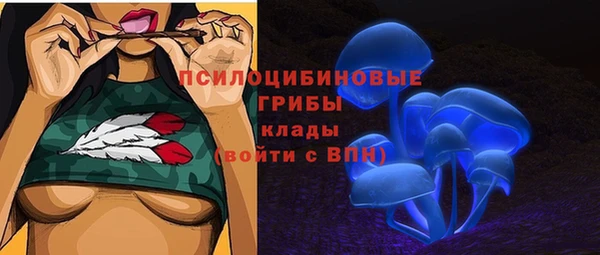 сатива Наволоки