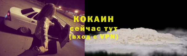 прущие крисы Надым