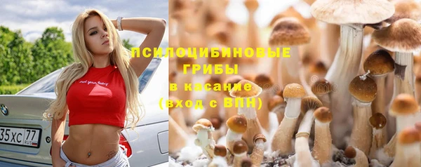 сатива Наволоки