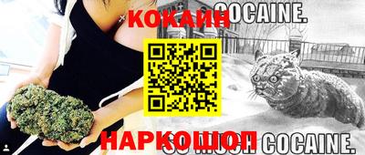 гидра Будённовск