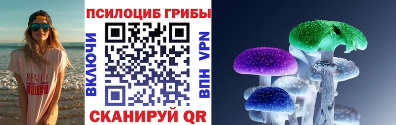 Галлюциногенные грибы Psilocybine cubensis  Домодедово 