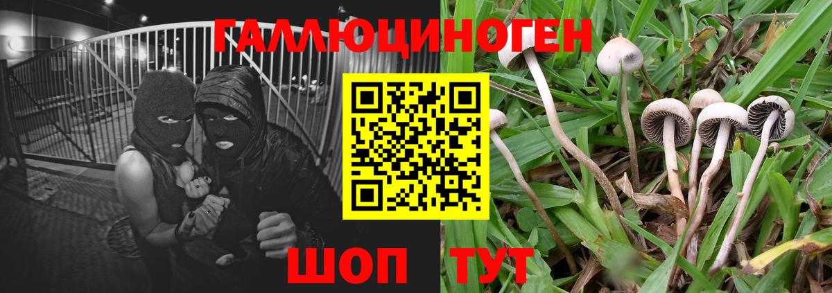 LSD-25 Домодедово