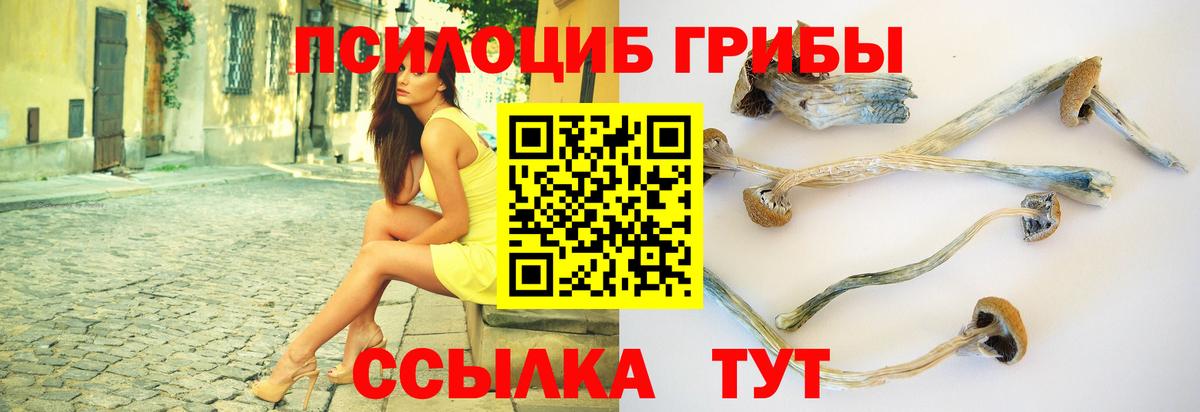 Галлюциногенные грибы ЛСД Домодедово