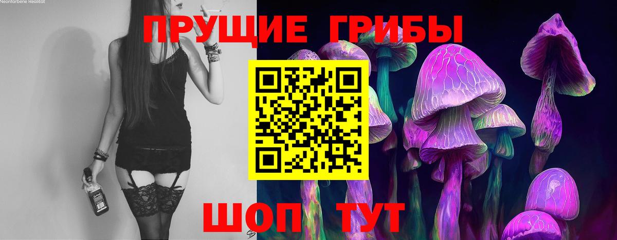 Галлюциногенные грибы Psilocybine cubensis  Домодедово 